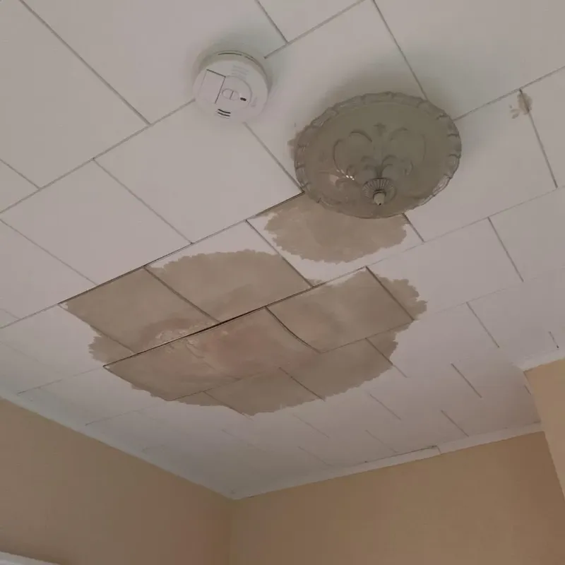 Ceiling Water Damage Repair in Tipton, IA