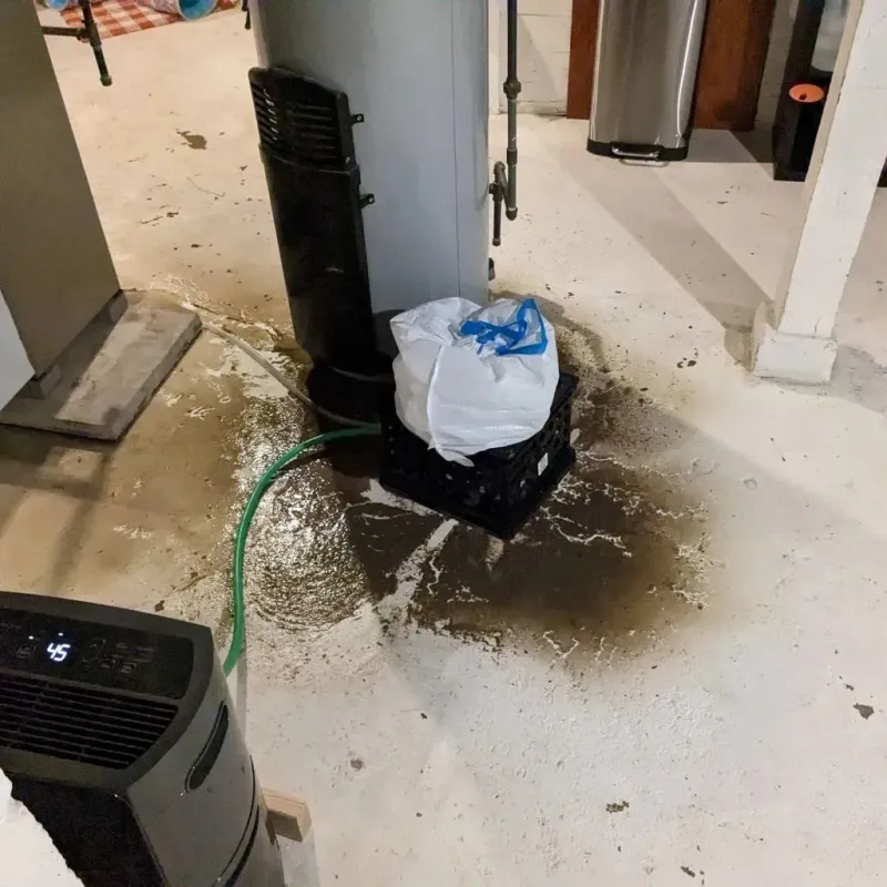 Sewage Backup Cleanup Service in Tipton, IA